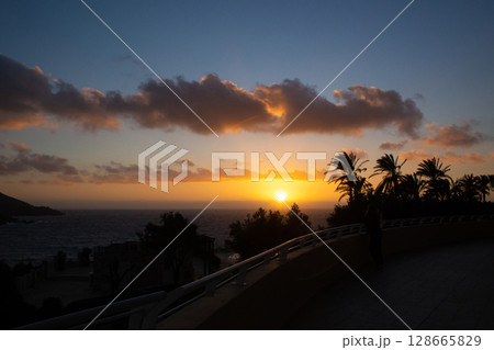 large tropical palm trees grow on the coast at sunset 128665829