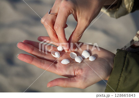 holding many different white small sea shells in the palms holding many different white small sea shells in the palms 128665843