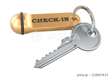 Check-in concept with key and tag. 3D rendering 128667615