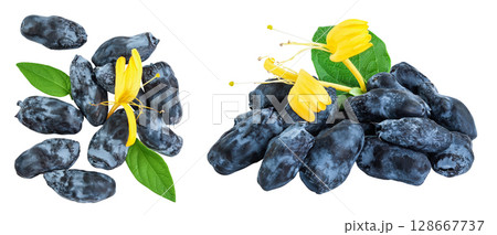 Fresh honeysuckle blue berry isolated on white background with full depth of field. Top view with copy space. Flat lay. 128667737