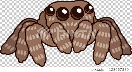 Cute cartoon jumping spider drawing Cute cartoon jumping spider drawing 128667880