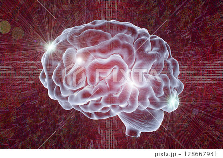 Human brain, illustration Human brain, illustration 128667931
