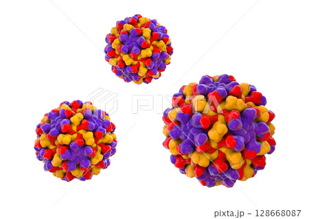 Tomato bushy stunt viruses, 3D illustration. Tomato bushy stunt viruses, 3D illustration. 128668087