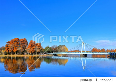 【東京都】晴天の水元大橋と紅葉(水元公園) 【東京都】晴天の水元大橋と紅葉(水元公園) 128668221