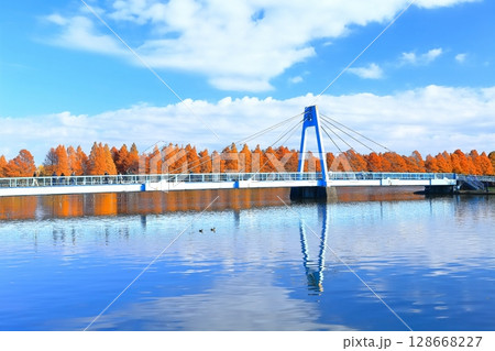 【東京都】晴天の水元大橋と紅葉（水元公園） 128668227