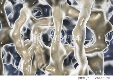 Normal bone illustration Normal bone illustration 128668266
