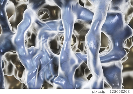 Normal bone illustration 128668268