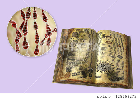 Mold in old books, conceptual 3D illustration. Open antique book with mold on its pages and close-up view of mold fungi Alternaria alternata, the common microscopic fungus found in old books 128668275