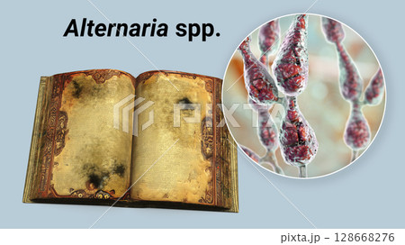 Mold in old books, conceptual illustration 128668276