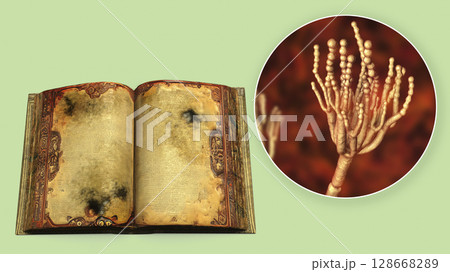 Mold in old books, conceptual illustration 128668289