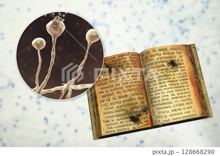 Mold in old books, conceptual illustration Mold in old books, conceptual illustration 128668290