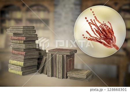 Mold in old books, 3D illustration 128668301