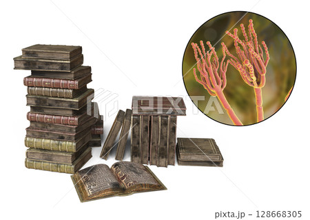 Mold in old books, 3D illustration Mold in old books, 3D illustration 128668305