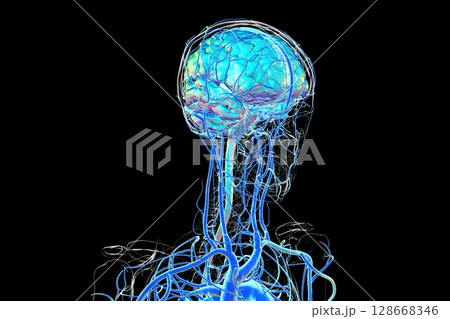 Brain veins, 3D illustration Brain veins, 3D illustration 128668346