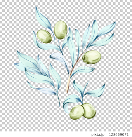 Olives and olive oil illustrated in watercolor style showcasing nature and Italian culinary traditions 128669071