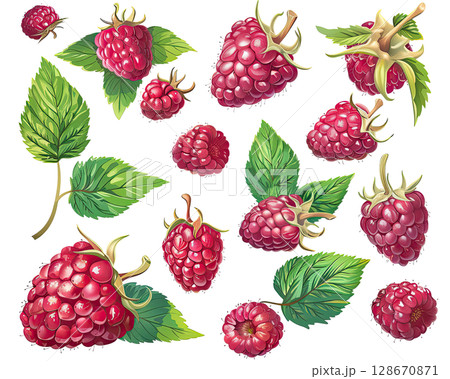 Juicy Raspberries with Green Leaves: Isolated Set on Transparent Background, PNG 128670871