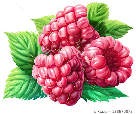 Raspberry Berries with Green Leaves: Illustration on Transparent Background, PNG 128670872