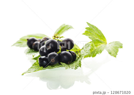ripe large blackcurrant berry isolated on white background ripe large blackcurrant berry isolated on white background 128671020