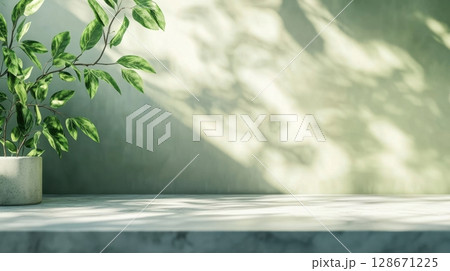 Serene Plant  Marble Tabletop Scene. 128671225