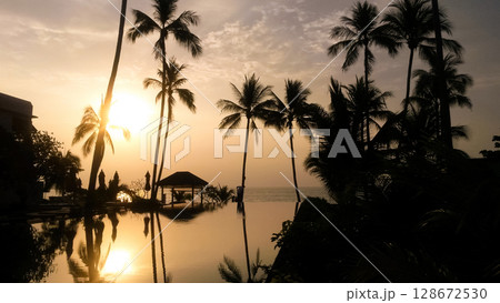 beautiful large tropical palm trees grow on the coast 128672530