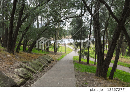 A public walkway through the trees in Yarramundi Reserve 128672774