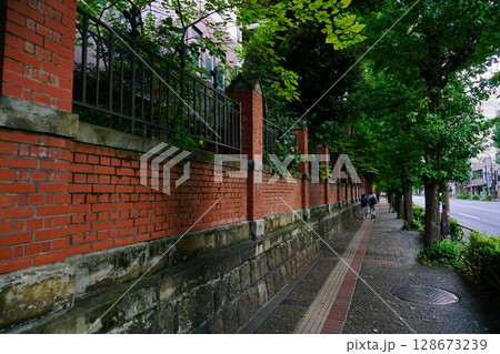 東京大学付近の歩道 128673239