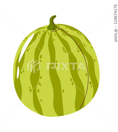 Ripe watermelon summertime berry fruit 128674279