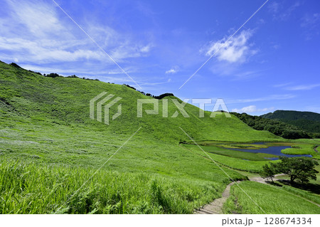 曽爾高原 美しい夏のグリーンカーペット 曽爾高原 美しい夏のグリーンカーペット 128674334