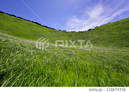 曽爾高原　美しい夏のグリーンカーペット 128674336