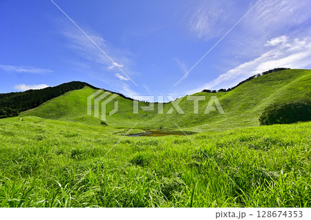 曽爾高原　美しい夏のグリーンカーペット 128674353