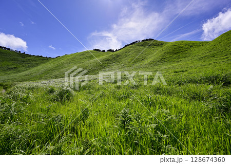 曽爾高原　美しい夏のグリーンカーペット 128674360