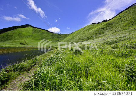曽爾高原 美しい夏のグリーンカーペット 曽爾高原 美しい夏のグリーンカーペット 128674371