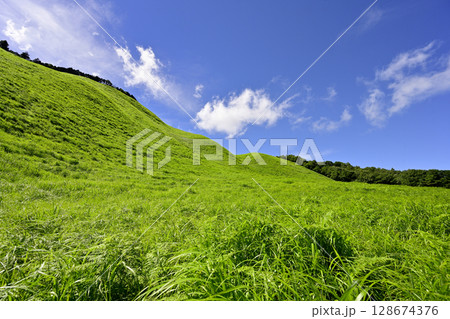 曽爾高原 美しい夏のグリーンカーペット 曽爾高原 美しい夏のグリーンカーペット 128674376