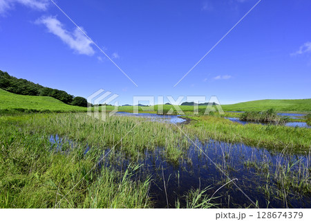 曽爾高原　美しい夏のグリーンカーペット 128674379