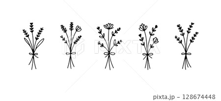 Graceful Herb Drawing. Graceful Herb Drawing features a slender botanical element perfect for refined floral designs and natural sketches. 128674448