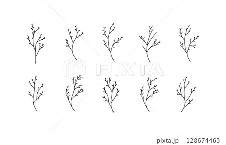 Delicate Botanical Branch. Delicate Botanical Branch showcases a minimalist hand-drawn twig with gentle curves and fine leaves, ideal for refined botanical design. Delicate Botanical Branch. Delicate Botanical Branch showcases a minimalist hand-drawn twig with gentle curves and fine leaves, ideal for refined botanical design. 128674463