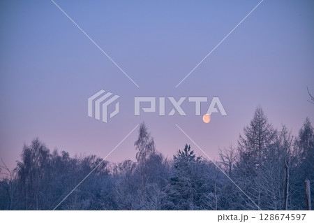 Moon over frozen woodland in twilight Moon over frozen woodland in twilight 128674597