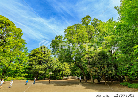 東京　港区　南麻布にある 有栖川宮記念公園 128675003