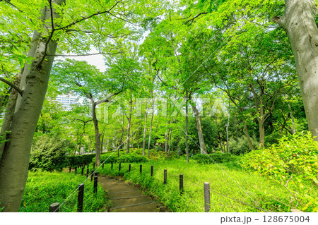 東京　港区　南麻布にある 有栖川宮記念公園 128675004