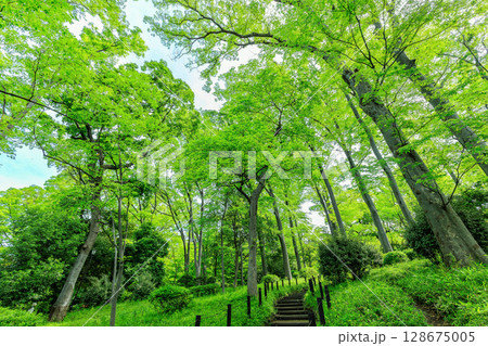 東京　港区　南麻布にある 有栖川宮記念公園 128675005