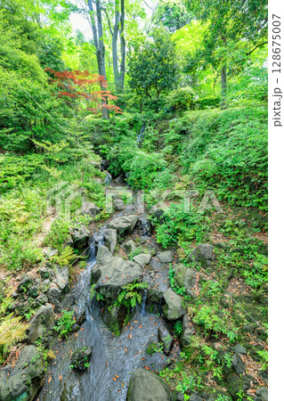 東京　港区　南麻布にある 有栖川宮記念公園 128675007