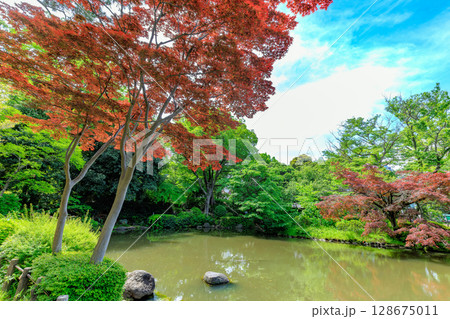 東京　港区　南麻布にある 有栖川宮記念公園 128675011
