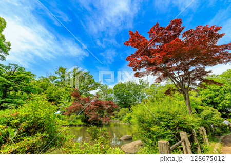 東京 港区 南麻布にある 有栖川宮記念公園 東京 港区 南麻布にある 有栖川宮記念公園 128675012