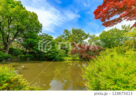 東京　港区　南麻布にある 有栖川宮記念公園 128675013