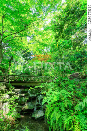 東京　港区　南麻布にある 有栖川宮記念公園 128675019