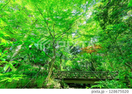 東京　港区　南麻布にある 有栖川宮記念公園 128675020