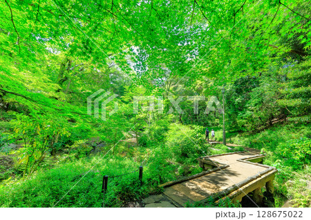 東京　港区　南麻布にある 有栖川宮記念公園 128675022