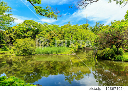 東京　港区　南麻布にある 有栖川宮記念公園 128675024