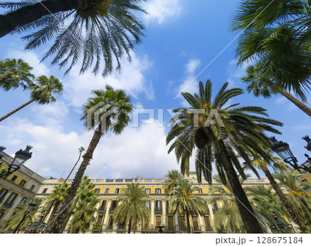 バルセロナ・レイアール広場の椰子の木と歴史的建築群 / Barcelona, Spain 128675184