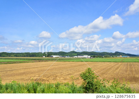 JR北海道、根室本線の池田駅から常豊信号場までの車窓風景 128675635